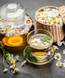 Trà Hoa Cúc Thảo Mộc